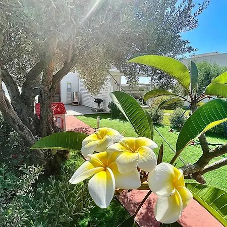 Sicilian Shore Haven, 2 Min To Sea Villa